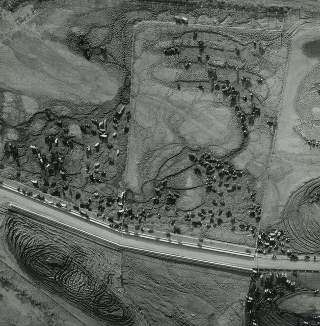 Terry Evans, ‘Cattle Feed Lot, West of Saline County, Kansas’, 1993, Yancey Richardson Gallery