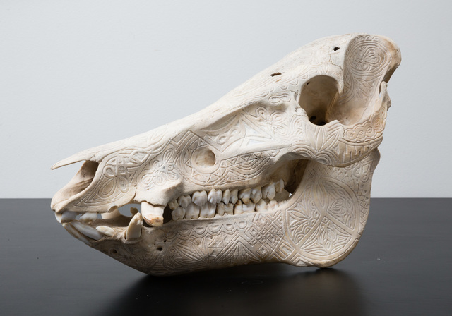 Alex Sweet, ‘"Adaptive Evolution" (Hand Carved Florida Boar Skull)’, 2015, PRIMARY