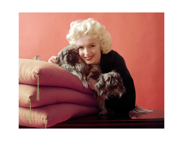 Milton H. Greene (1955) Artsy