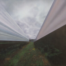 Neil Griess