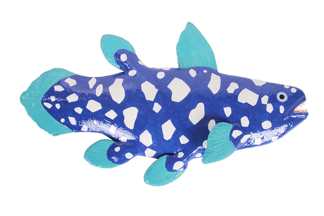 coelacanth plush