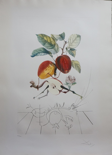 Salvador Dalí | FlorDali/Les Fruits Eve's Apple (1969) | Artsy