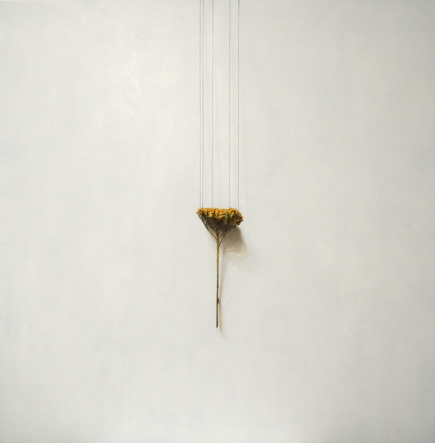 Daiya Yamamoto, ‘Achillea, perpendicular belt’, 2019, Mottas