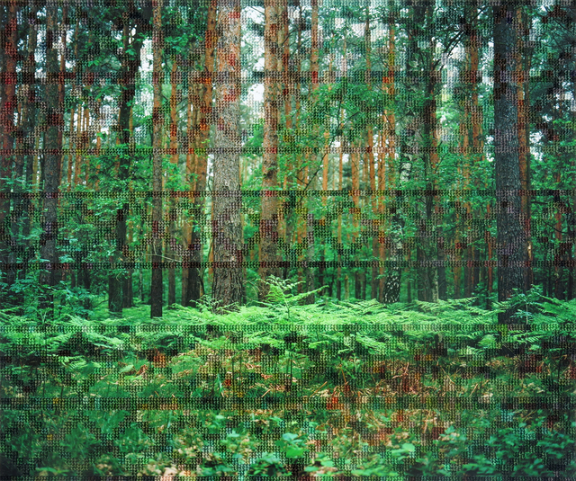 Diane Meyer, ‘Forest, Hohen Neuendorf’, 2012-2017, Photography, Hand Sewn Archival Ink Jet Print, Pictura Gallery
