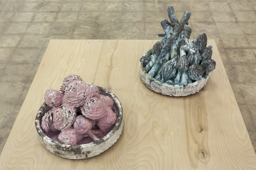 Installation shot, Clippings and Hard Fruit, David Hicks Installation shot, Clippings and Hard Fruit, David Hicks
