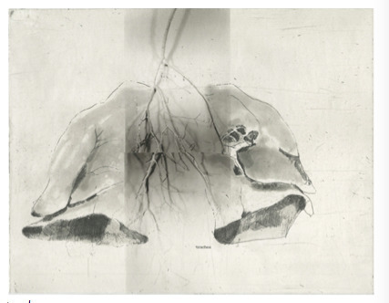 Helen Gerritzen, ‘trachea’, 2015, Nicole Longnecker Gallery