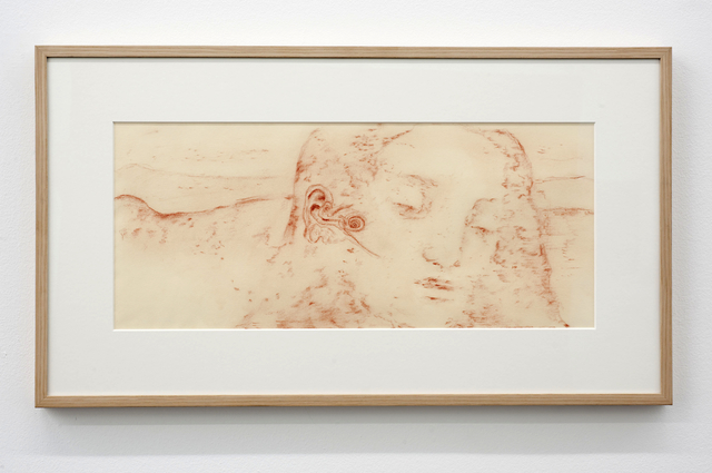 Fabrice Samyn, ‘Cochlea Christi’, 2011, Maison Particulière