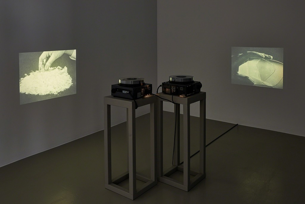 Form Regained - Alexandra Navratil, Erin Shirreff & Lara Viana, 30 April - 30 May 2015 (exhibition view) Form Regained - Alexandra Navratil, Erin Shirreff & Lara Viana, 30 April - 30 May 2015 (exhibition view)