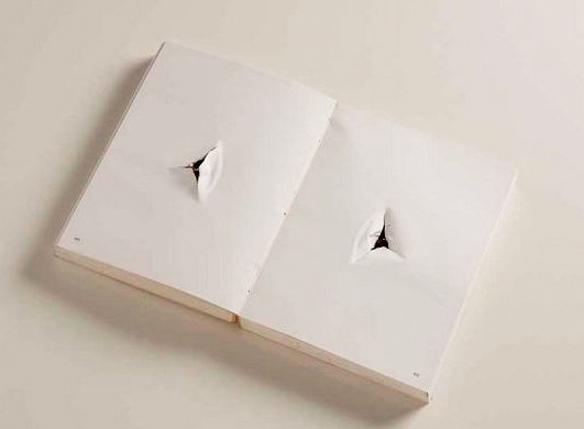 Nuno Ramos, ‘Balada - livro obra’, 1995, TNT Arte