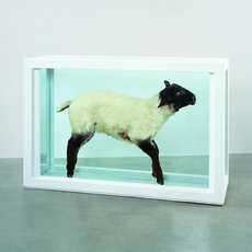 Damien Hirst