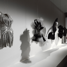 Iris van Herpen