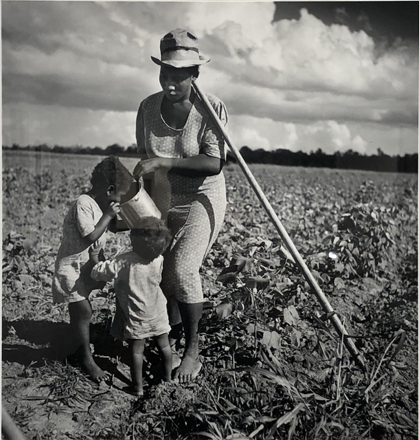 Marion Post Wolcott | Taking a drink and resting from hoeing cotton ...