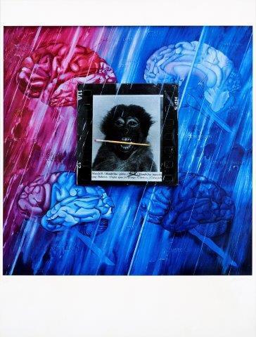 Jacques Monory, ‘Mandrill’, Digard Auction