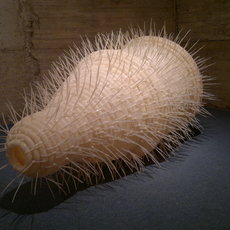 Markus Delago