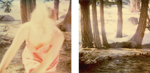Stefanie Schneider, ‘Fairytales, dyptych’, 2006, Photography, Analog C-Prints, hand-printed by the artist, based on two Polaroids, mounted on Aluminum with matte UV-Protection, Instantdreams