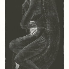 Thomas Ott