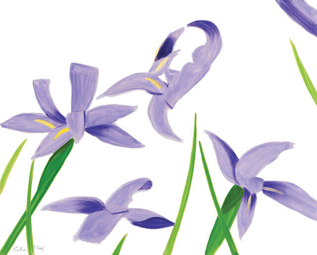 Alex Katz - Purple Irises on White