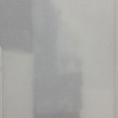Linus Rauch