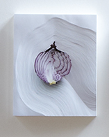 "Slicing the Onion No. 005" Series 2 of 6 : 3-D wall sculpture unique engraved in layers of photographic work, 2015 by Nerhol "Slicing the Onion No. 005" Series 2 of 6 : 3-D wall sculpture unique engraved in layers of photographic work, 2015 by Nerhol