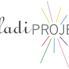 Fouladi Projects logo