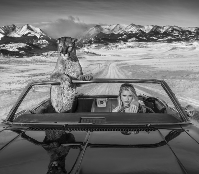 David Yarrow, ‘No Country For Old Men’, Fineart Oslo