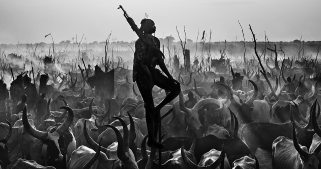 David Yarrow, ‘The Proud Night Watchman’, Photography, Archival ink on paper, Fineart Oslo