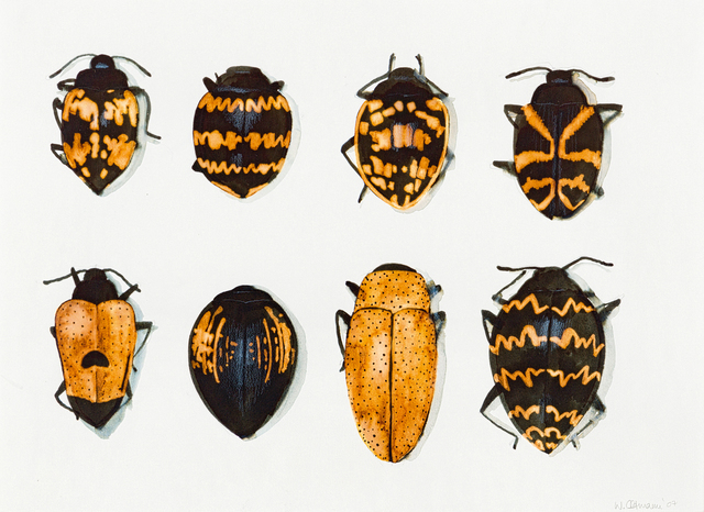 Walter Oltmann, ‘Beetles’, Drawing, Collage or other Work on Paper, Ink and bleach on paper, Strauss & Co