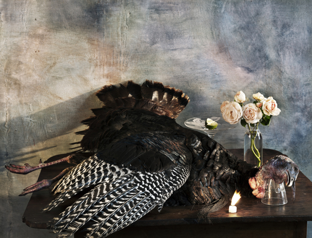 Vera Mercer, ‘Old wild Turkey’, 2012, °CLAIRbyKahn Galerie