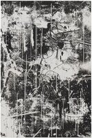 Vertical Swamp 5