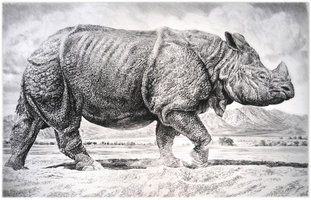 Rick Shaefer, ‘Rhino II’, 2016, Sears-Peyton Gallery