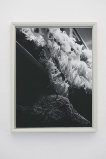 João Penalva, ‘From Store D-1’, 2009, Barbara Gross