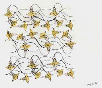 Andy Warhol - Flowers- yellow and pink