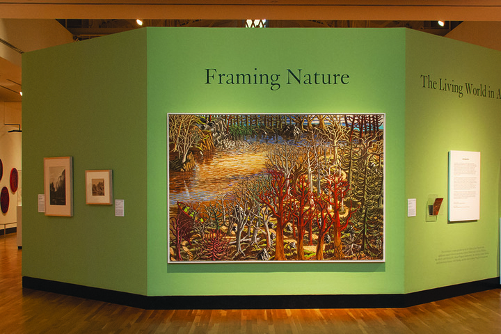 Installation view: "Framing Nature: The Living World in Art" Installation view: "Framing Nature: The Living World in Art"