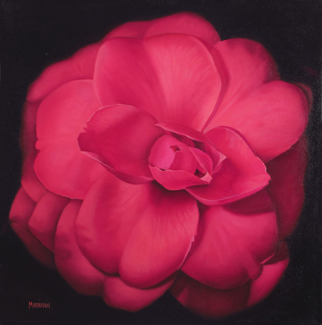 Margaret Morrison, ‘Red Camellia’, 2014, Woodward Gallery