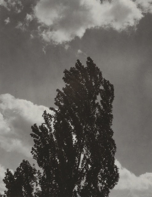 Alfred Stieglitz, ‘Portrait - K. N. R., No. 3’, 1923, Photography, Gelatin silver prints mounted on paperboard, Bowdoin College Museum of Art