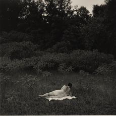 19th + 20th Century Photographs