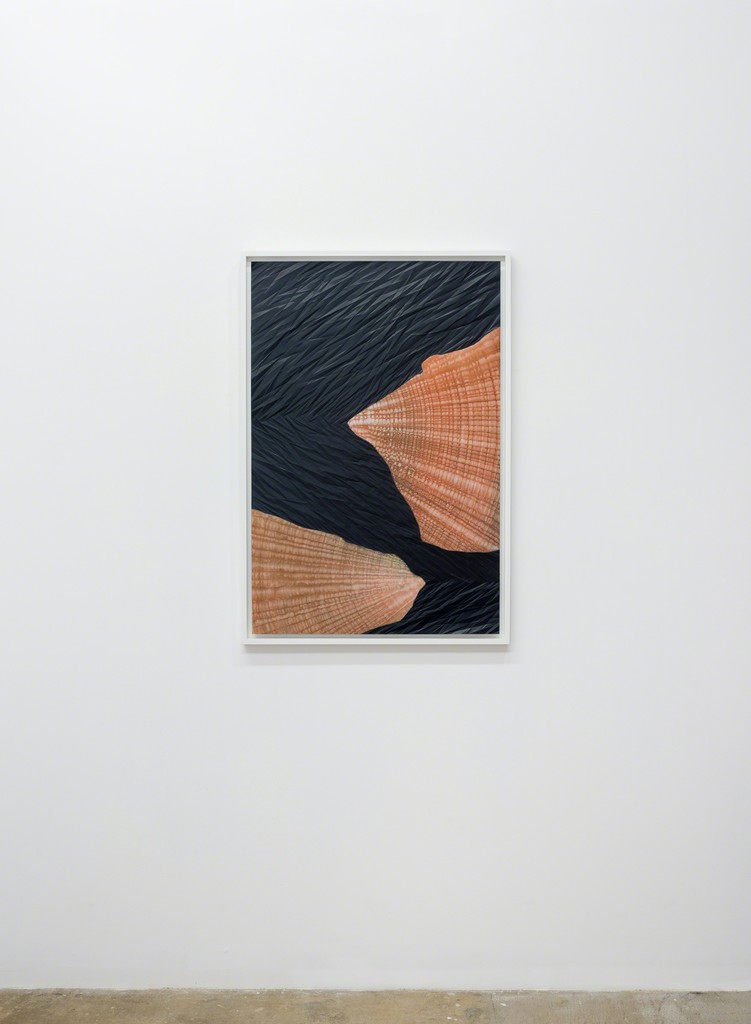 Sandeep Mukherjee, 'Untitled (Pincer 2)', 2012. Acrylic, acrylic ink and embossed drawing on duralene, 36 x 24 inches. Sandeep Mukherjee, 'Untitled (Pincer 2)', 2012. Acrylic, acrylic ink and embossed drawing on duralene, 36 x 24 inches.