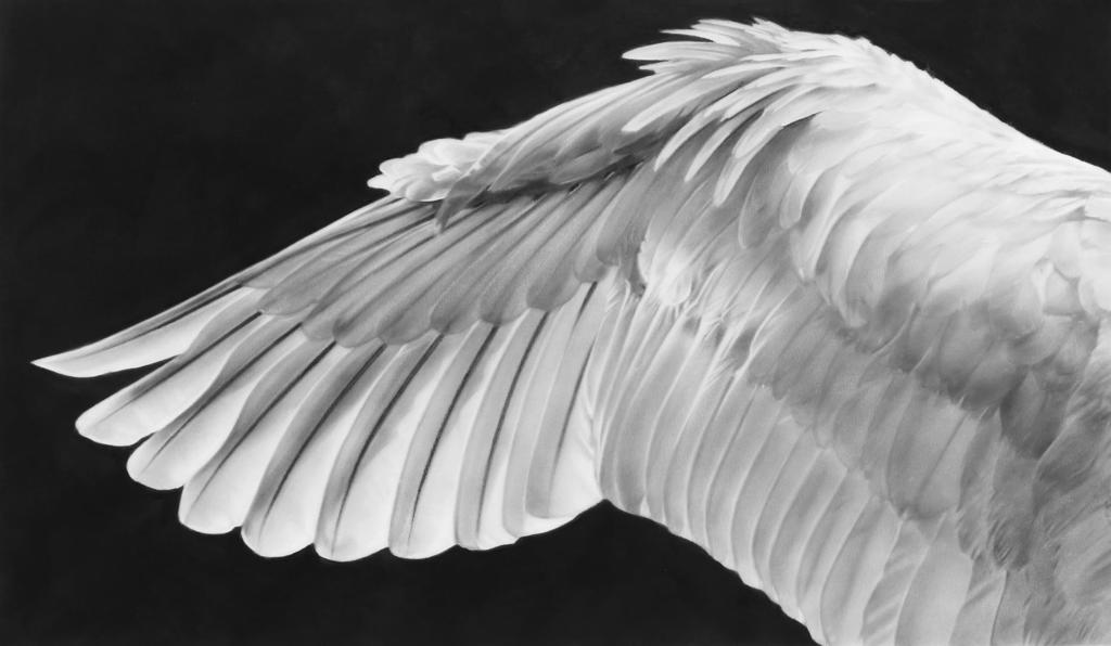 Robert Longo - Study of Wing (Flipped)