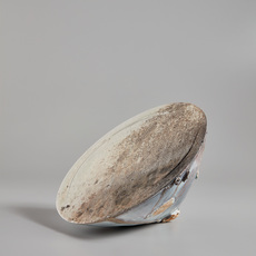 Taro Tabuchi