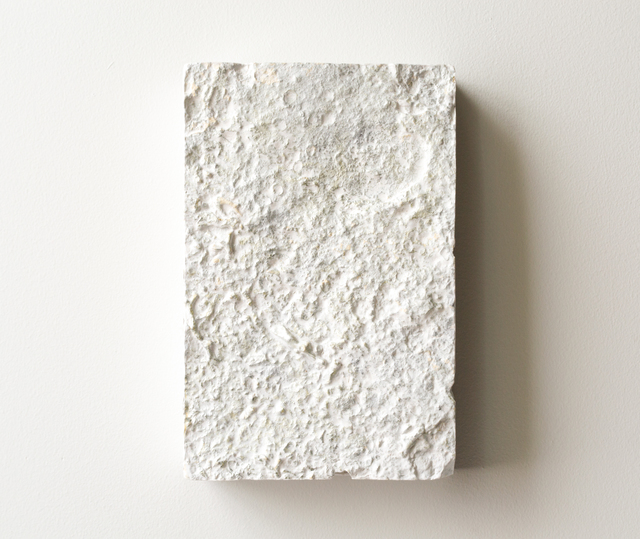 Shinji Turner-Yamamoto, ‘Constellaria #21’, 2020, Mixed Media, Cast gypsum from c.a. 450-million-year-old fossils, silver leaf, chalk, gesso, clay bole, animal glue, natural resin, Sapar Contemporary