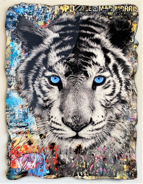 Adriano Cuencas, ‘Blue Eyes Tiger’, 2020, Painting, Collage & Mixed Media on cardboard, Samhart Gallery