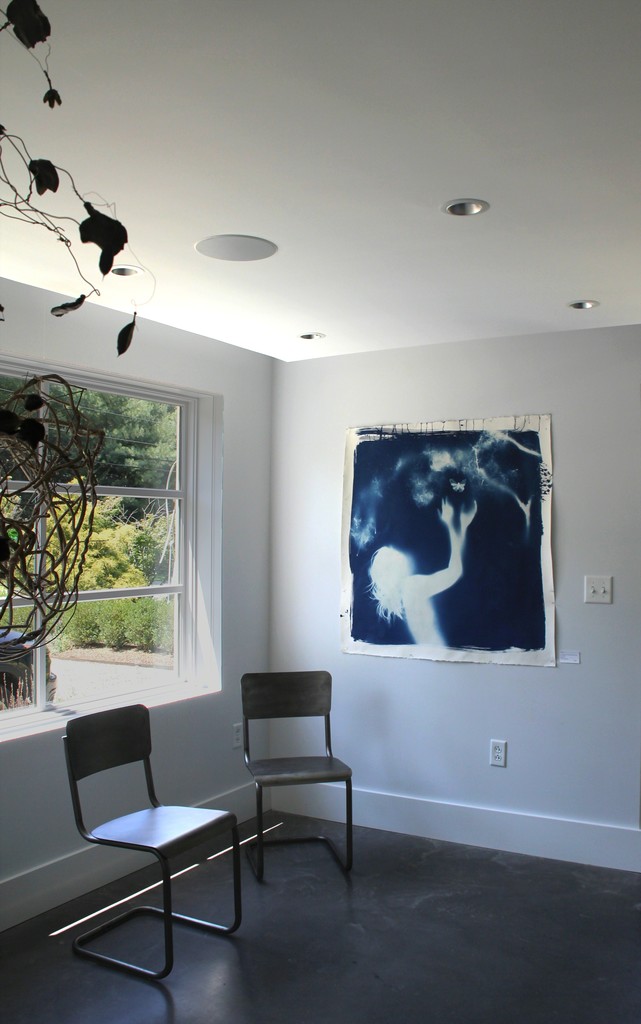 "Release", Mary West Quin, Cyanotype, 42" x 44" "Release", Mary West Quin, Cyanotype, 42" x 44"