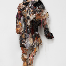 Robb Putnam