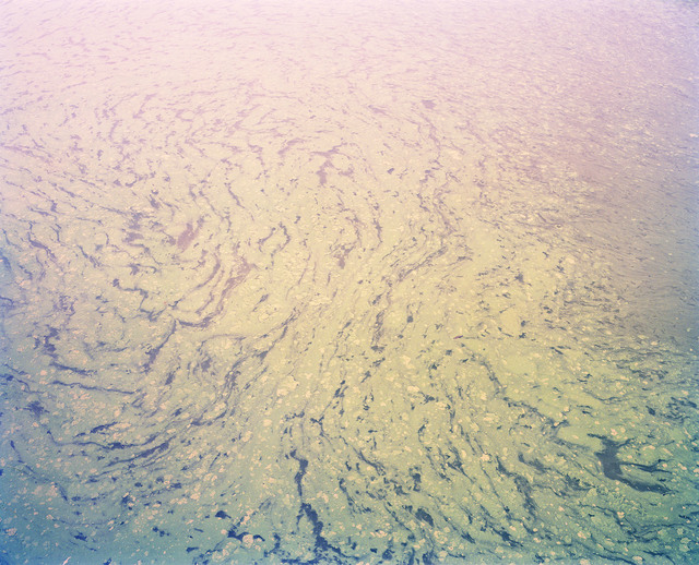 Vasantha Yogananthan, ‘Magic Swirl’, 2014, The Photographers' Gallery