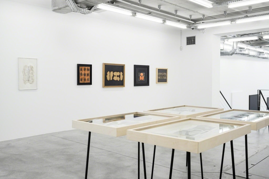 Turi Simeti 'Le Choix du signe', curated by Natacha Carron at Almine Rech Gallery in Brussels
28.05 - 25.07.2015
Courtesy of the artist and Almine Rech Gallery
Photos: © 2015 Sven Laurent - Let me shoot for you Turi Simeti 'Le Choix du signe', curated by Natacha Carron at Almine Rech Gallery in Brussels
28.05 - 25.07.2015
Courtesy of the artist and Almine Rech Gallery
Photos: © 2015 Sven Laurent - Let me shoot for you