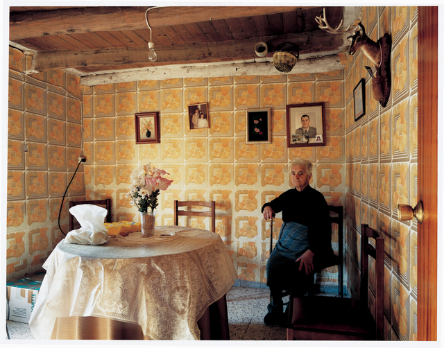 Bert Teunissen, ‘Pino del Oro #3, 25/2/2005 11:57’, 2005, Photography, C-print, Aperture Foundation