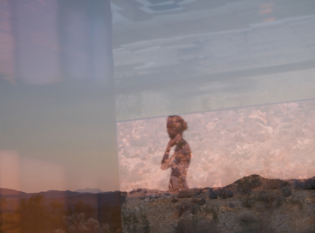 Mona Kuhn, ‘AD6046’, 2013-2014, Flowers