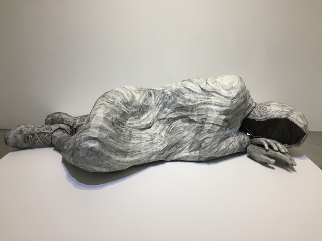 Ann Hoi