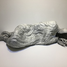 Ann Hoi