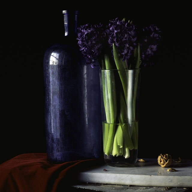 Paul Cary Goldberg, ‘Still Life with Hyacinth and Walnut’, Pucker Gallery